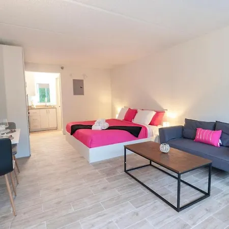 Sunny Studio 8 Min To Disney World And Free Parking